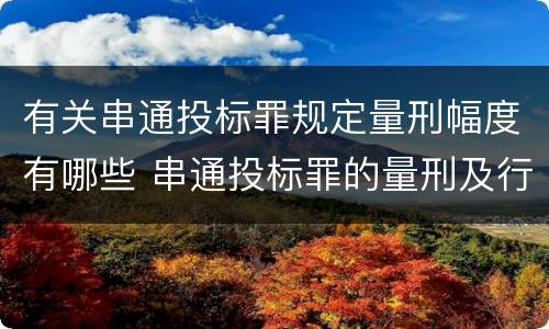 有关串通投标罪规定量刑幅度有哪些 串通投标罪的量刑及行为表现