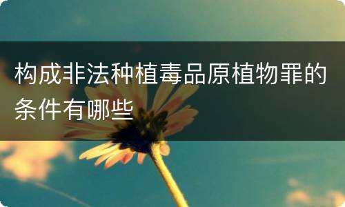 构成非法种植毒品原植物罪的条件有哪些
