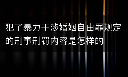 犯了暴力干涉婚姻自由罪规定的刑事刑罚内容是怎样的