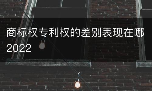 商标权专利权的差别表现在哪2022