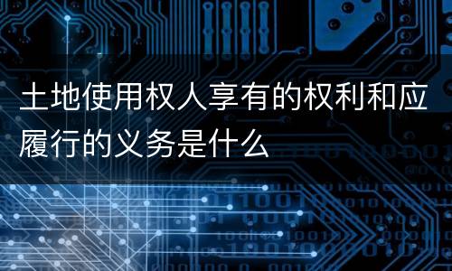 土地使用权人享有的权利和应履行的义务是什么