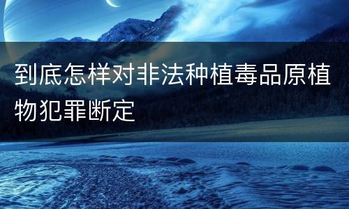 到底怎样对非法种植毒品原植物犯罪断定