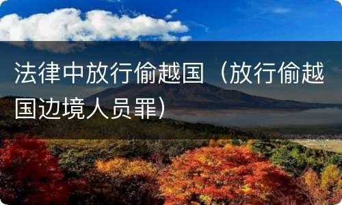 法律中放行偷越国（放行偷越国边境人员罪）
