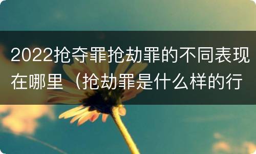 2022抢夺罪抢劫罪的不同表现在哪里（抢劫罪是什么样的行为）