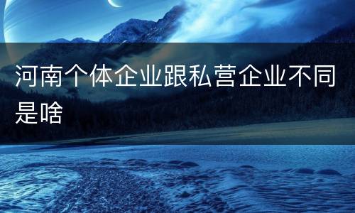 河南个体企业跟私营企业不同是啥