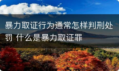 暴力取证行为通常怎样判刑处罚 什么是暴力取证罪