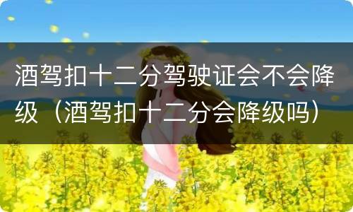 酒驾扣十二分驾驶证会不会降级（酒驾扣十二分会降级吗）