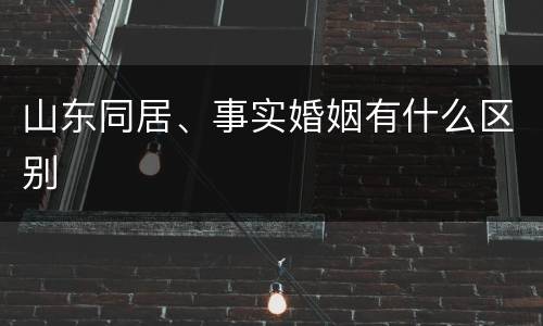 山东同居、事实婚姻有什么区别