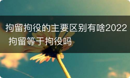 拘留拘役的主要区别有啥2022 拘留等于拘役吗