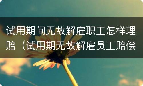 试用期间无故解雇职工怎样理赔（试用期无故解雇员工赔偿标准）