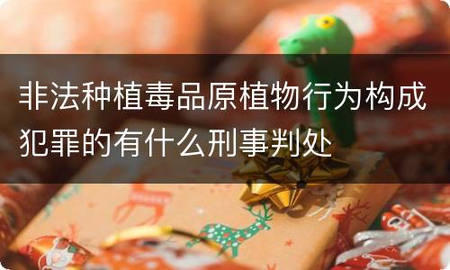 非法种植毒品原植物行为构成犯罪的有什么刑事判处