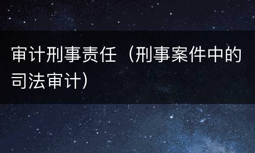 审计刑事责任（刑事案件中的司法审计）