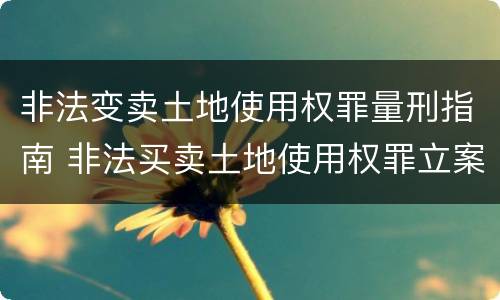 非法变卖土地使用权罪量刑指南 非法买卖土地使用权罪立案标准