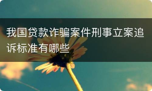 我国贷款诈骗案件刑事立案追诉标准有哪些