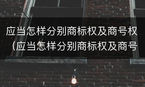 应当怎样分别商标权及商号权（应当怎样分别商标权及商号权和商标权）