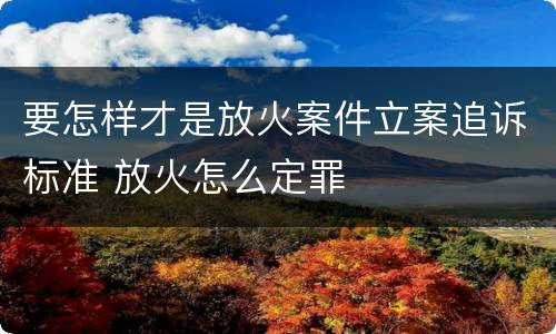 要怎样才是放火案件立案追诉标准 放火怎么定罪