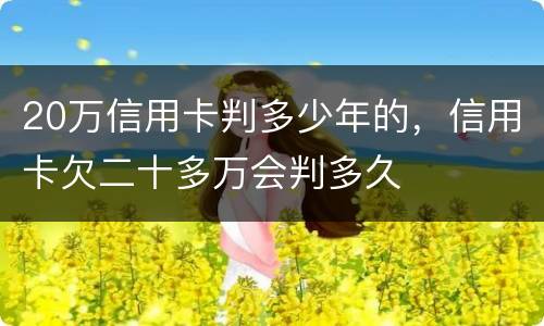 20万信用卡判多少年的，信用卡欠二十多万会判多久