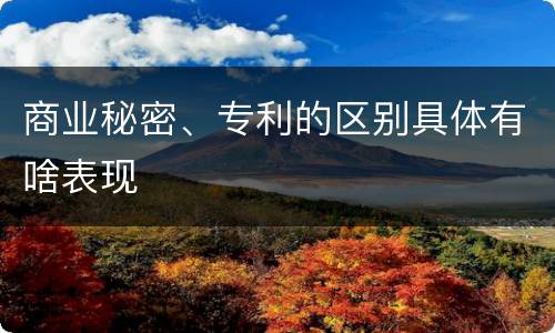 商业秘密、专利的区别具体有啥表现