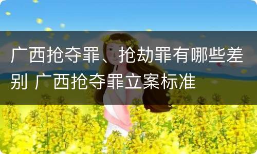 广西抢夺罪、抢劫罪有哪些差别 广西抢夺罪立案标准