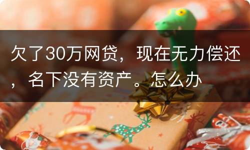 欠了30万网贷，现在无力偿还，名下没有资产。怎么办