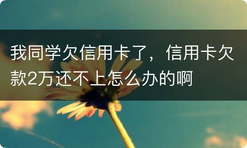 我同学欠信用卡了，信用卡欠款2万还不上怎么办的啊
