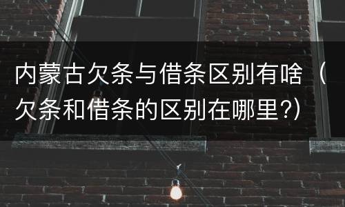 内蒙古欠条与借条区别有啥（欠条和借条的区别在哪里?）