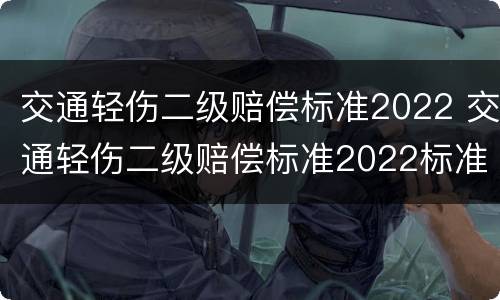 交通轻伤二级赔偿标准2022 交通轻伤二级赔偿标准2022标准