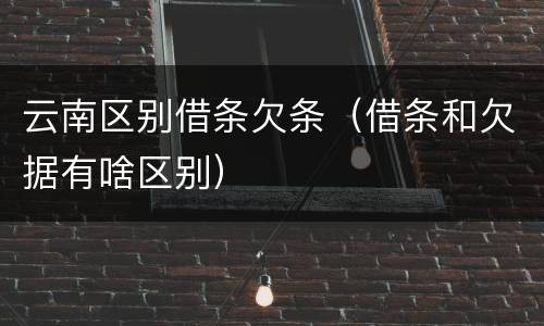 云南区别借条欠条（借条和欠据有啥区别）