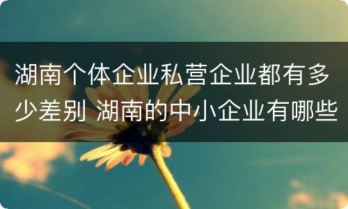 湖南个体企业私营企业都有多少差别 湖南的中小企业有哪些