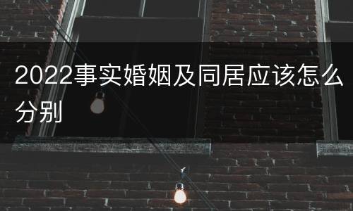 2022事实婚姻及同居应该怎么分别