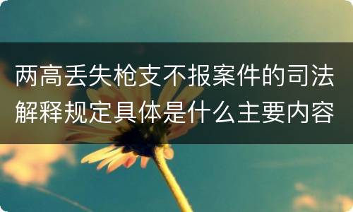两高丢失枪支不报案件的司法解释规定具体是什么主要内容