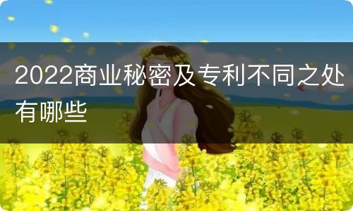 2022商业秘密及专利不同之处有哪些