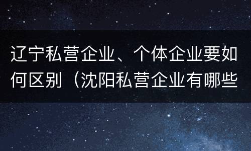 辽宁私营企业、个体企业要如何区别（沈阳私营企业有哪些）