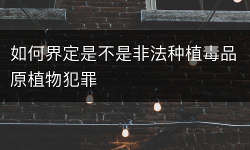 如何界定是不是非法种植毒品原植物犯罪