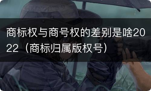 商标权与商号权的差别是啥2022（商标归属版权号）
