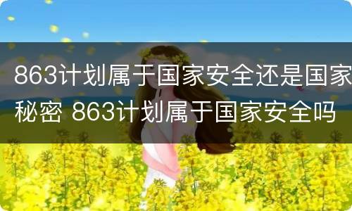 863计划属于国家安全还是国家秘密 863计划属于国家安全吗
