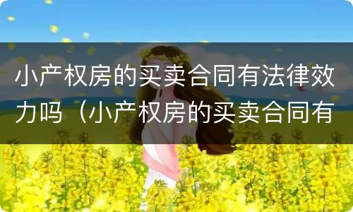 小产权房的买卖合同有法律效力吗（小产权房的买卖合同有法律效力吗怎么写）
