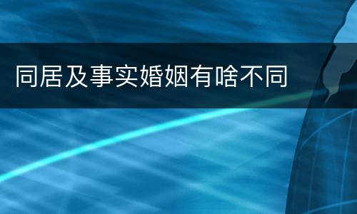同居及事实婚姻有啥不同