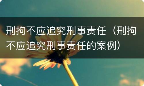 刑拘不应追究刑事责任（刑拘不应追究刑事责任的案例）
