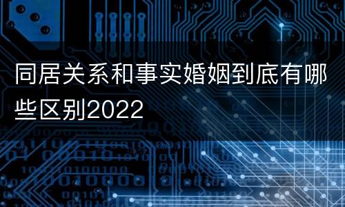同居关系和事实婚姻到底有哪些区别2022
