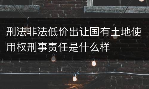 刑法非法低价出让国有土地使用权刑事责任是什么样