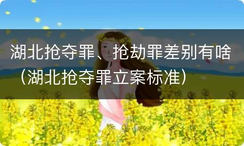 湖北抢夺罪、抢劫罪差别有啥（湖北抢夺罪立案标准）