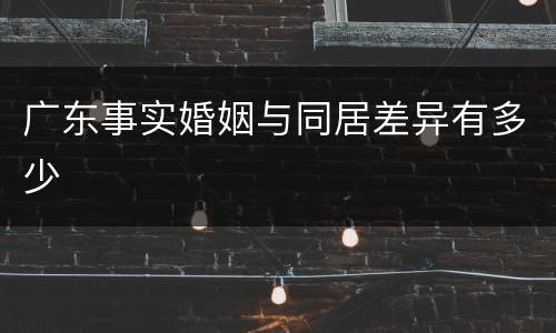 广东事实婚姻与同居差异有多少