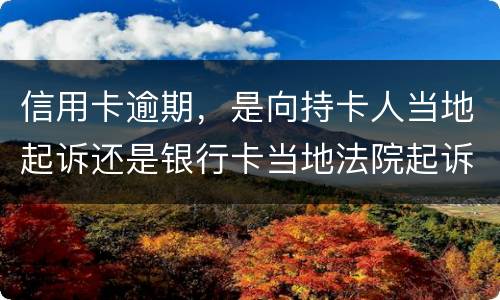 信用卡逾期，是向持卡人当地起诉还是银行卡当地法院起诉