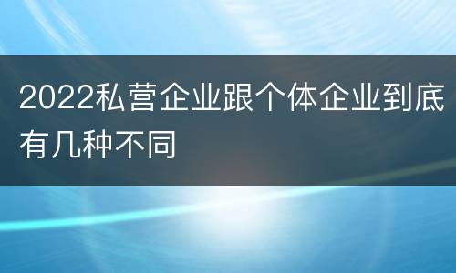 2022私营企业跟个体企业到底有几种不同