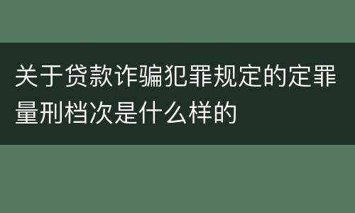 关于贷款诈骗犯罪规定的定罪量刑档次是什么样的