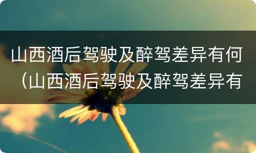山西酒后驾驶及醉驾差异有何（山西酒后驾驶及醉驾差异有何规定）