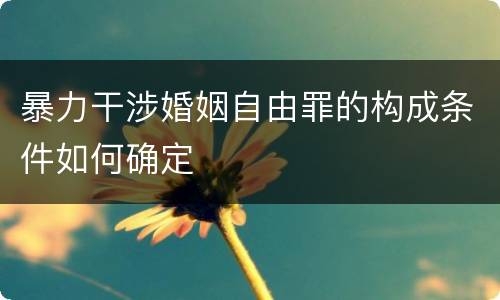 暴力干涉婚姻自由罪的构成条件如何确定