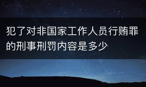 犯了对非国家工作人员行贿罪的刑事刑罚内容是多少