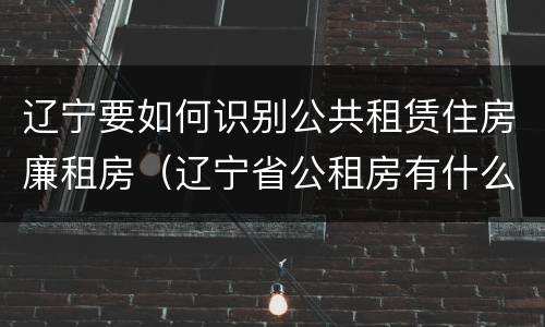 辽宁要如何识别公共租赁住房廉租房（辽宁省公租房有什么新规定）